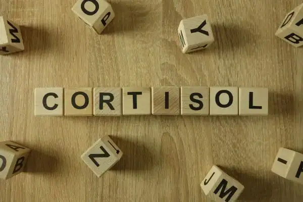 The Hidden Connection: How Stress Shapes Your Fitness and Body Composition 2 Image saying "Cortisol" and how stress Redhill impacts your wellbeing and bodies shape